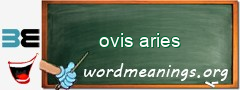 WordMeaning blackboard for ovis aries